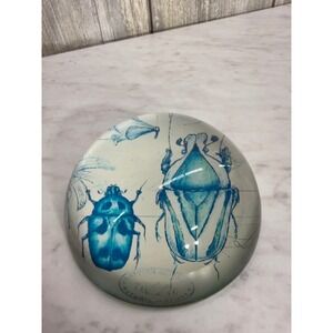 British Museum Natural History Blue Beetle Glass Dome Paperweight Desk Decor